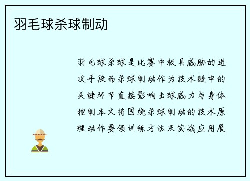 羽毛球杀球制动